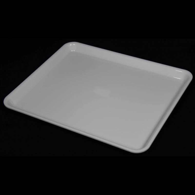 RPET tray 187x137x25mm transp
