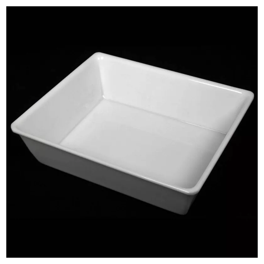 RPET tray 227x178x30mm transp