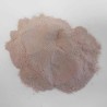 Echalote poudre Rochias