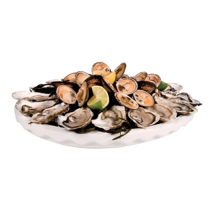 EPS coquille blanc diametre 500mm hauteur 65mm