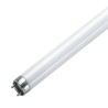 Safety lampe 15W d26mm...