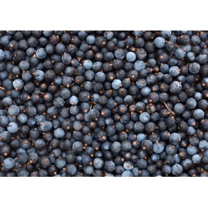 Baies de Genièvre (1 kg)
