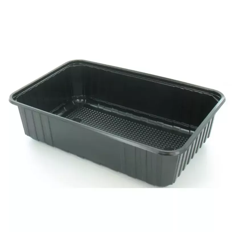 Ravier PS 2,2L noir 270x180x70mm