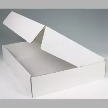 Boite basse couvercle charniere blanc 447x332x81mm