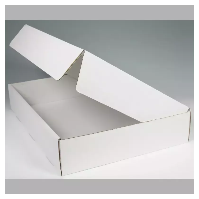 Boite couvercle charniere blanc 540x360x80mm