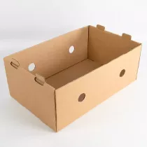 Carton pliable brun...