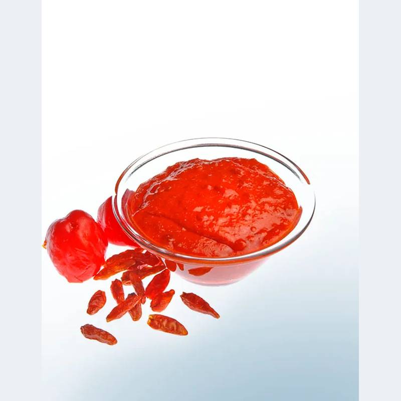Salsa Willy 4,5kg 39736