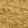Salacolor 2.0 NT Qualite d'Or