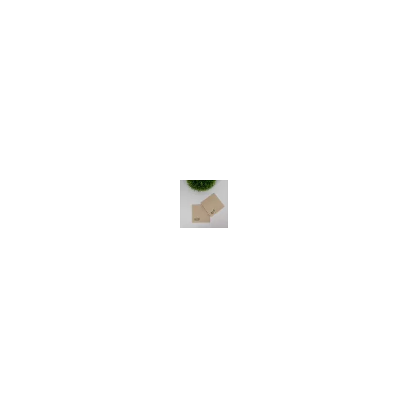 Serviettes 25x25cm 1 4 Think Green 8x125 pieces 100 pourcent recycled paper
