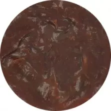 Marinade western honey ribs Van Hees - Vantasia