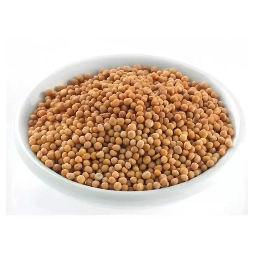 GRAINS DE MOUTARDE Raps 0850