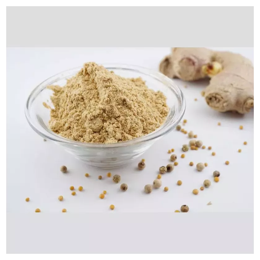 Hansa Gold Raps 0423