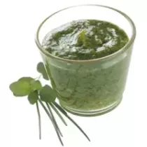 Maripesto Genovese 2,5kg 39209