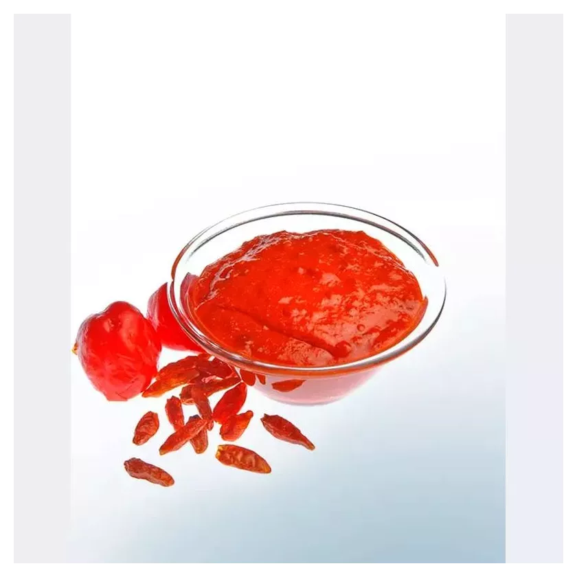 Salsa Willy 4,5kg 39736