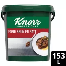 FOND BRUN 10kg (pâte) Knorr 1-2-3