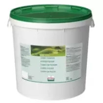 CURRY S.G. (MADRAS) 10kg Verstegen