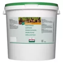 Oignons en poudre 10kg Verstegen