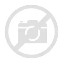 Sauce de base hollandaise Verstegen