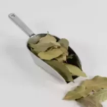 LAURIER FEUILLE ENTIER Qualité d'Or