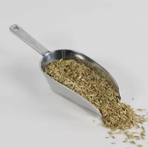 Graines de fenouil entieres Qualite d'Or
