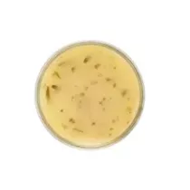 Vinaigrette aux fines herbes Delino