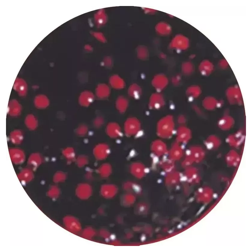 Sauce cerises Qualite d'Or
