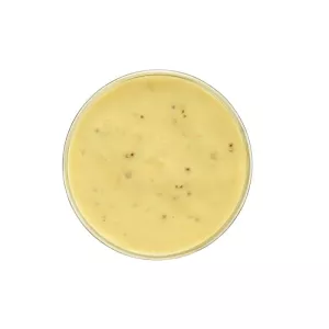 Vinaigr miel-moutarde 6x300ml Delino
