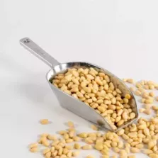 Pignons de pin 650g Qualite d'Or
