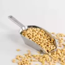 Pignons de pin 1,8kg Qualite d'Or