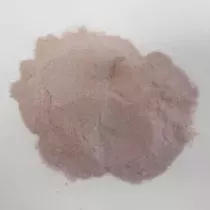 Echalote poudre Rochias