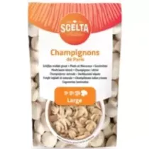 Champignons eminces large 2,46kg bleu