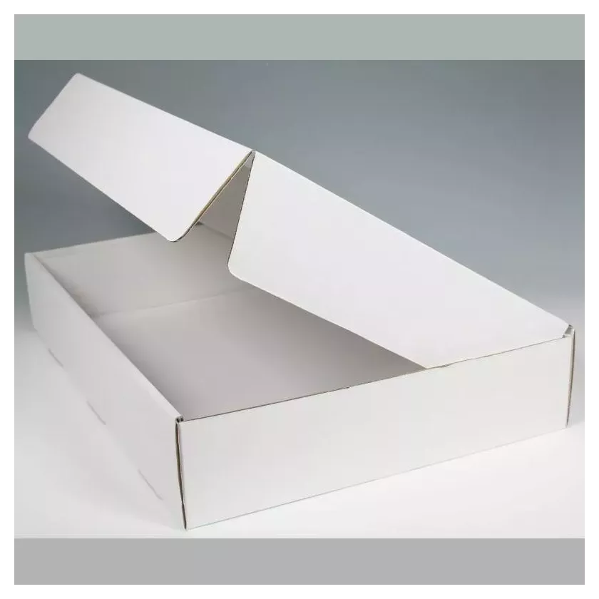 Boite couvercle a charniere blanc 540x360x80mm