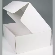 Boite haute couvercle a charniere blanc 447x332x148mm