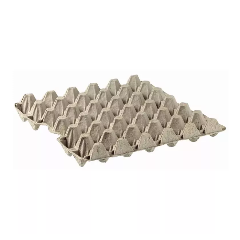 Boite a oeufs 30pcs grise