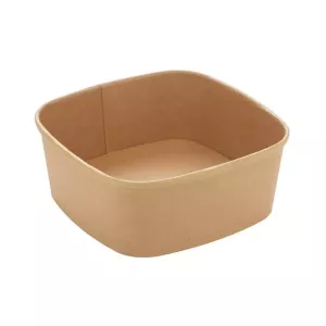 Bol carre carton/PE 1,2L 170x170x65mm