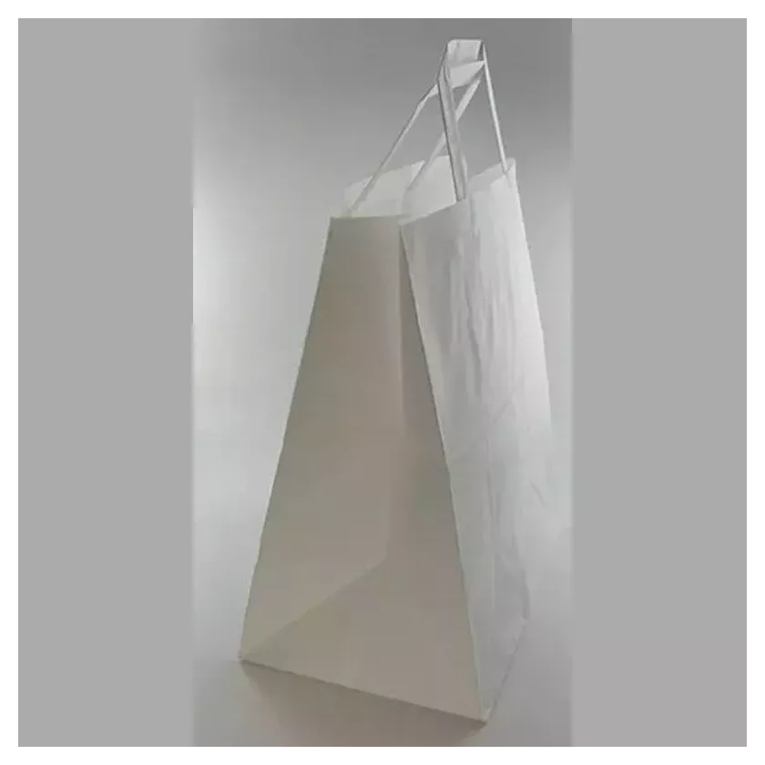 Sac papier 26xh25,5+(2x8,5)cm blanc plus poignee plate
