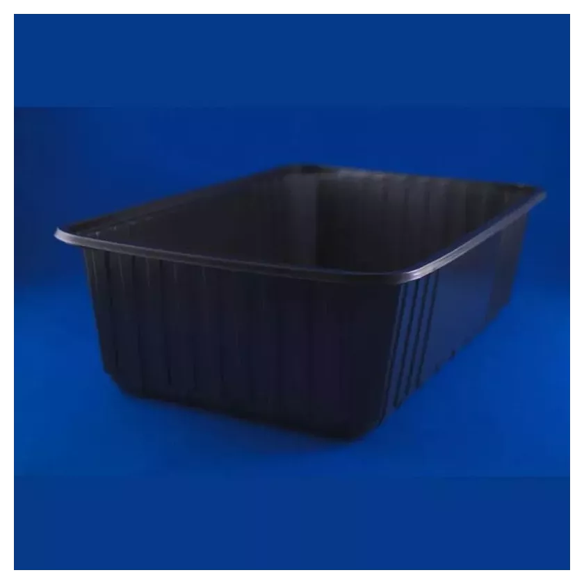 Ravier PS R270-80 2,7L noir 270x180x80mm