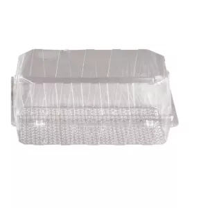 Blister patisserie PET rectangulaire couvercle a charniere 216x125x100mm