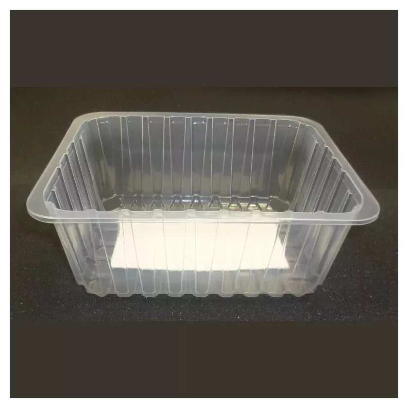 PP tray 227x178x100mm transparent avec pad 2500 blanc