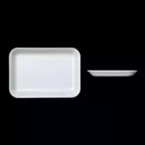 Ravier EPS 11M blanc 300x210x23mm