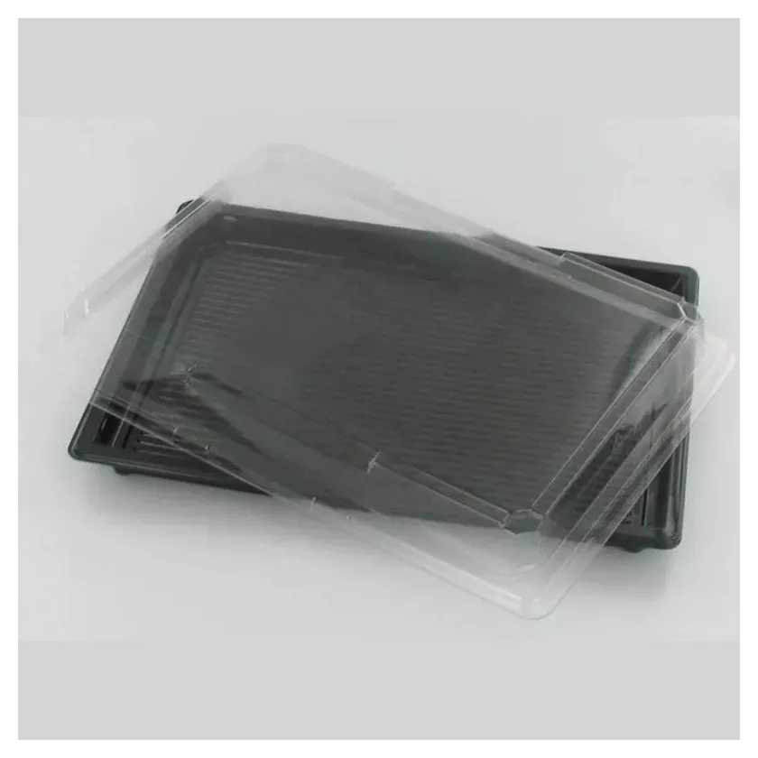 PET plat 255x185mm avec couvercle noir et transparent sushi