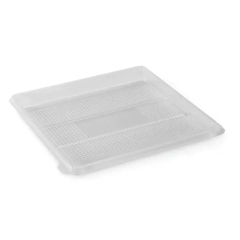 RPET ravier 250x250x20mm carre transparent 1 compartiment ZEN