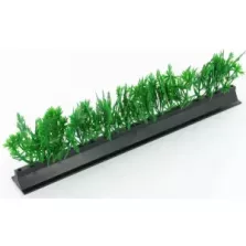 Barrettes persil avec base noir 25cm