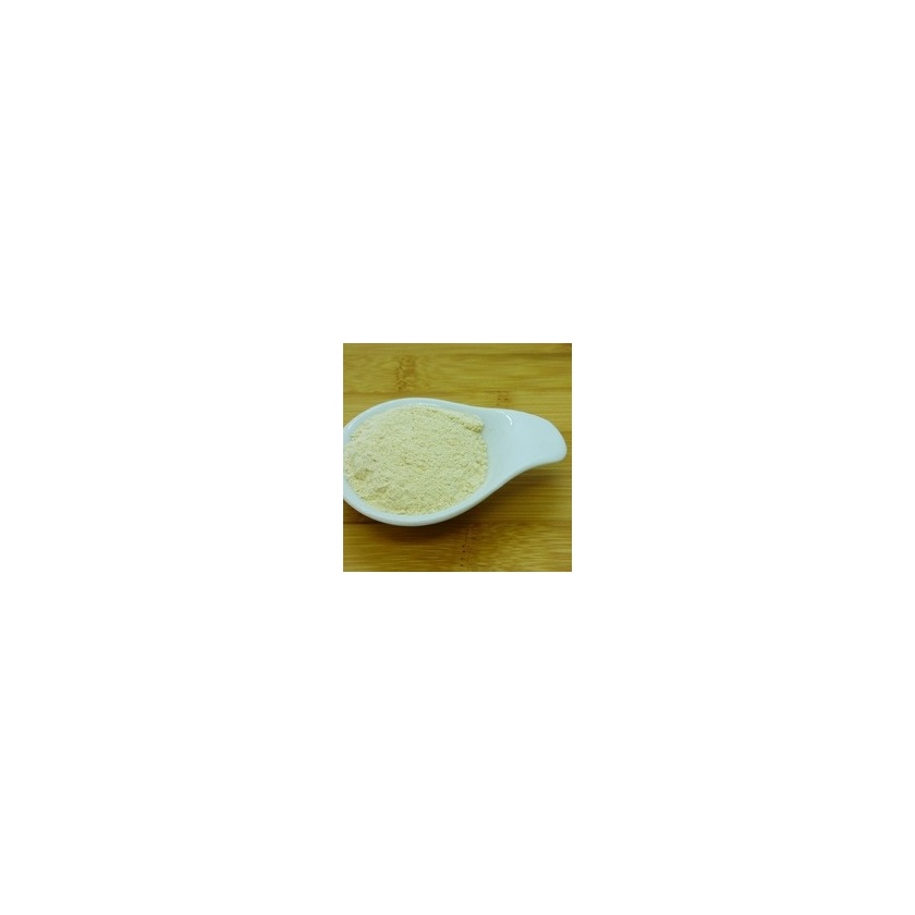 Ail poudre (1 kg)