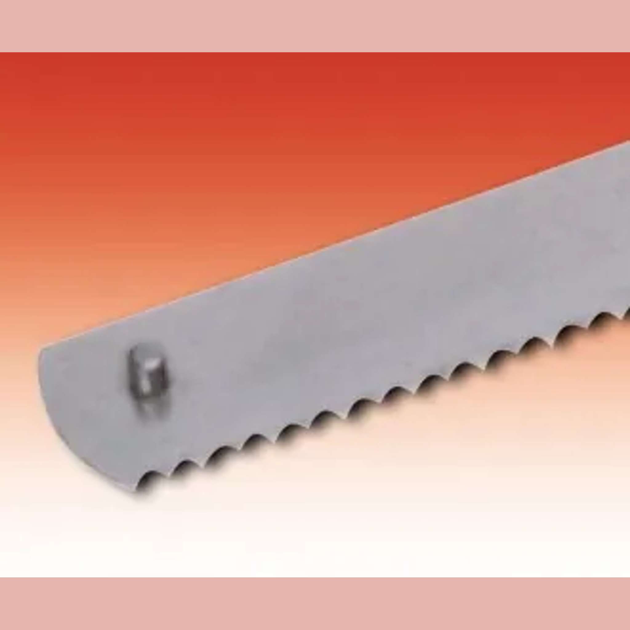 Lame de scie 45cm 19mm inox