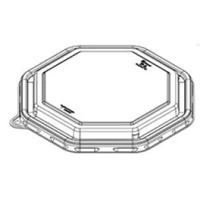 RPET couv d23cm transp pour Octaview bagasse 23x23x8cm (carton de 100 pièces)