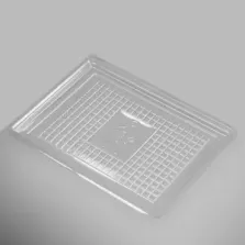 RPET plat charcuterie transparent 16x22cm (carton de 1 000 pièces)