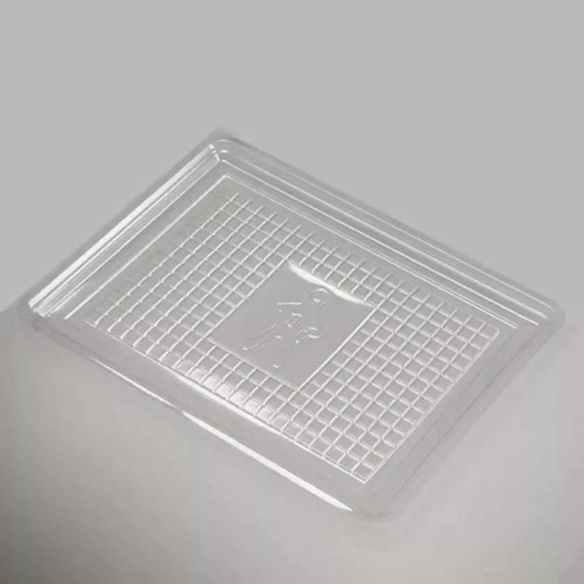RPET plat charcuterie transparent 16x22cm (carton de 1 000 pièces)
