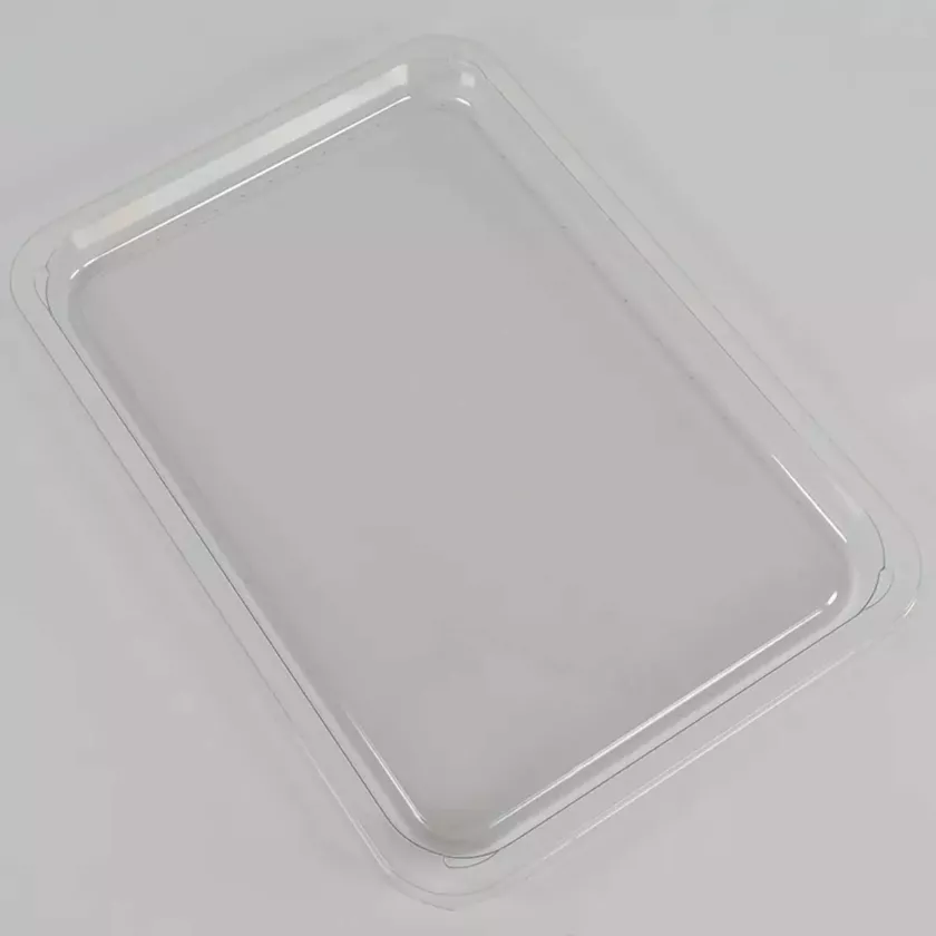 RPET tray 250x180x15mm transp (carton de 680 pièces)