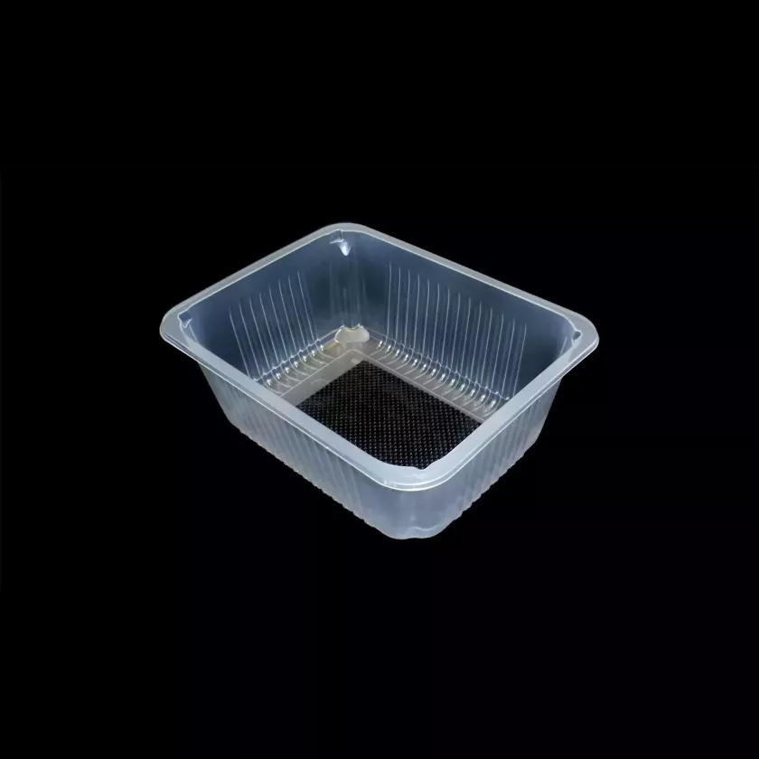 PP tray 227x178x80mm transp E - rw - vb + buvard noir (lot de 384 pièces)